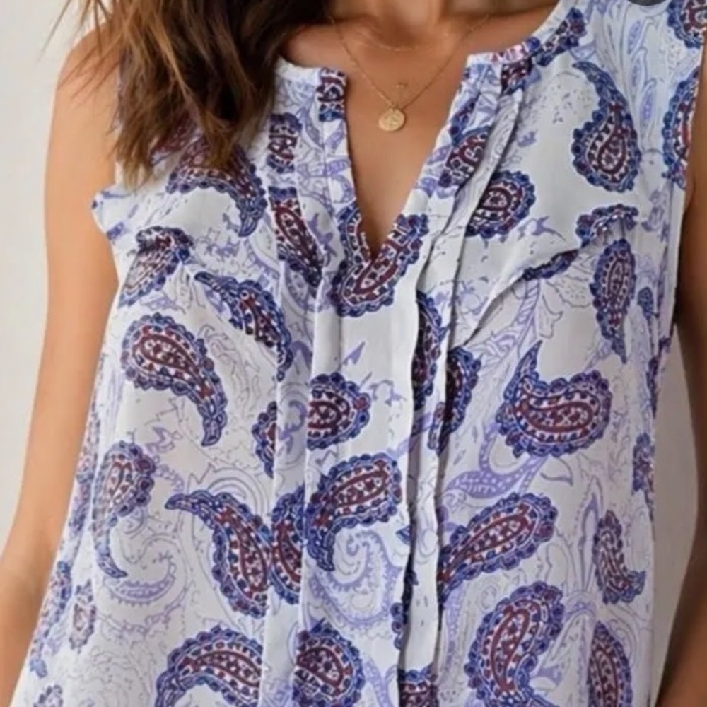Skies Are Blue Sleeveless Paisley V-Neck Blouse in Light Blue and Navy